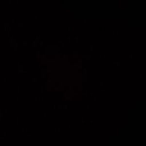 Meet your Posher, Tea